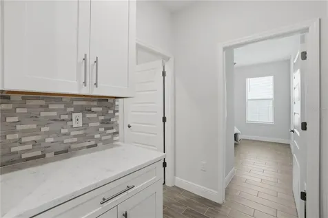 11045 Hollow Bay Drive Winter Garden FL 34787