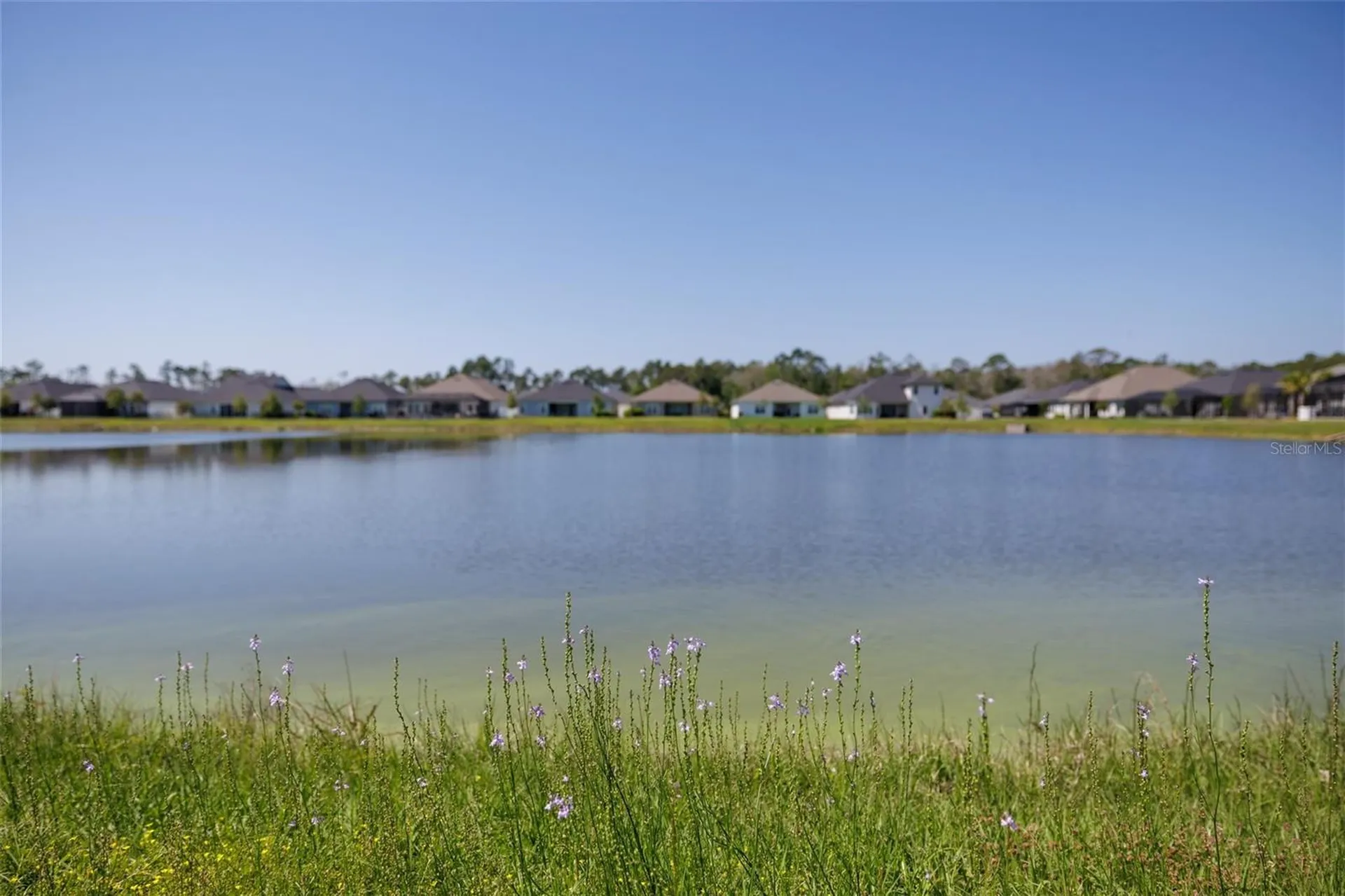 139 Wood Stork Lane Palm Coast FL 32164