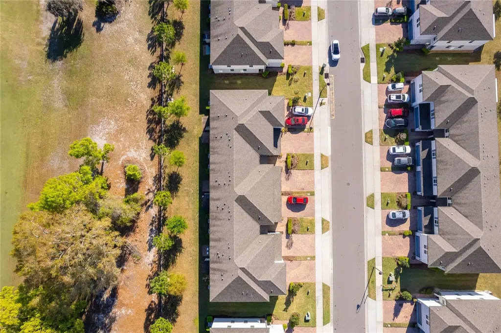 963 Robin Holly Street Ocoee FL 34761