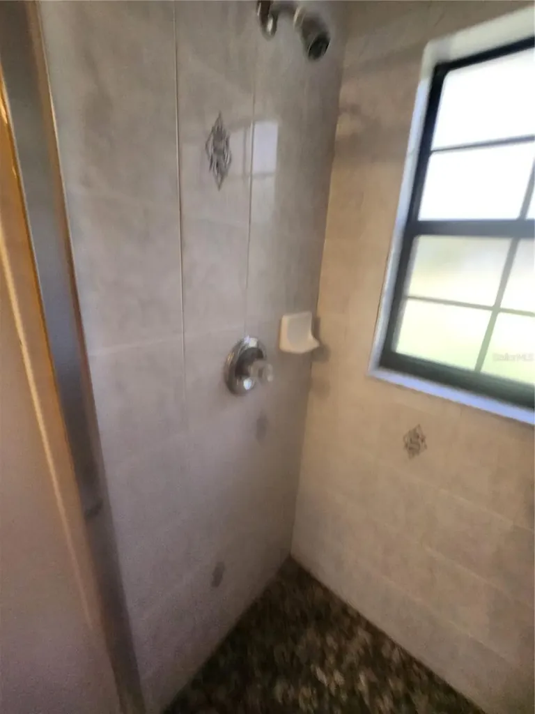 13767 NE 47th Avenue Anthony FL 32617