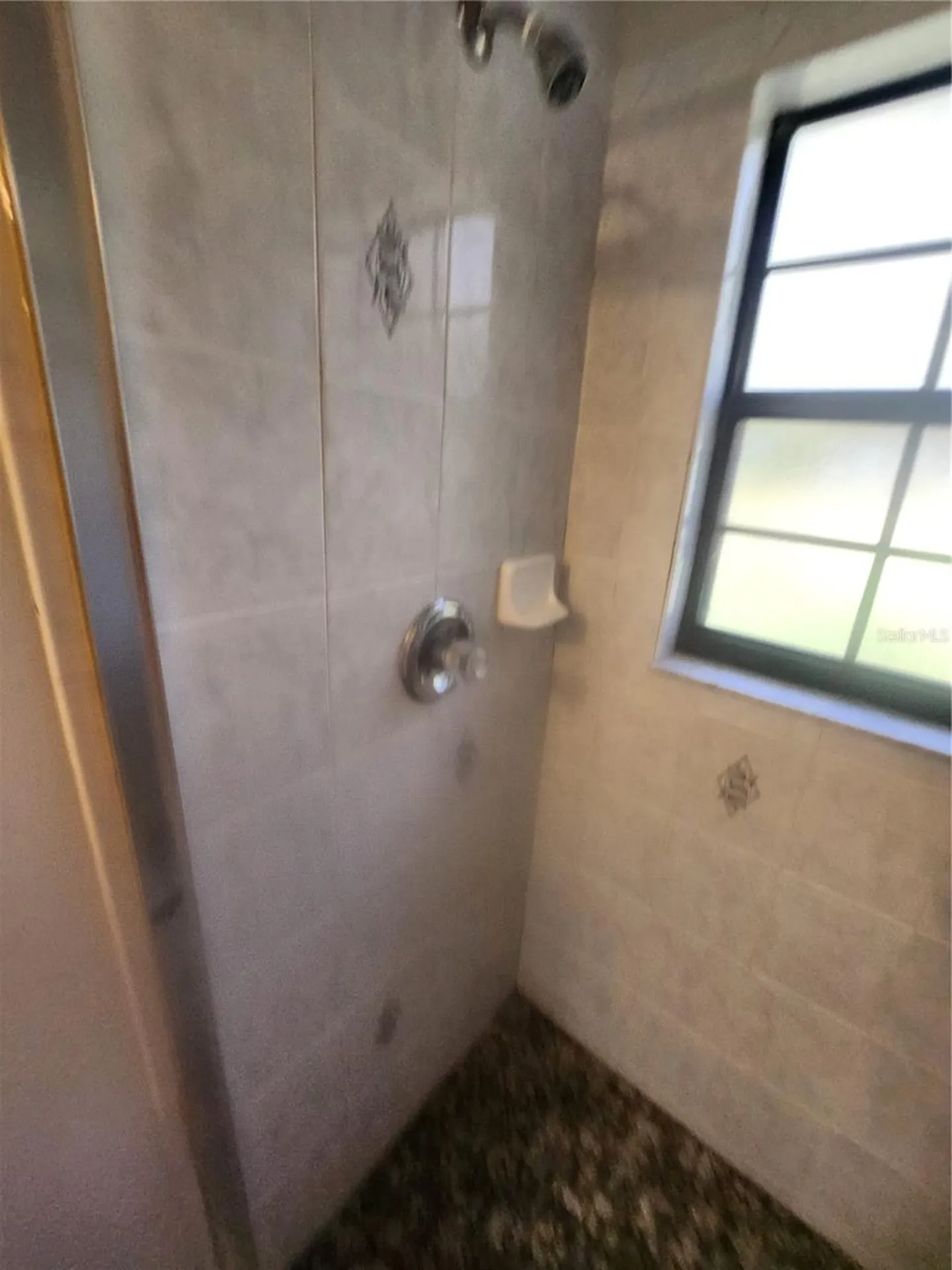 13767 NE 47th Avenue Anthony FL 32617