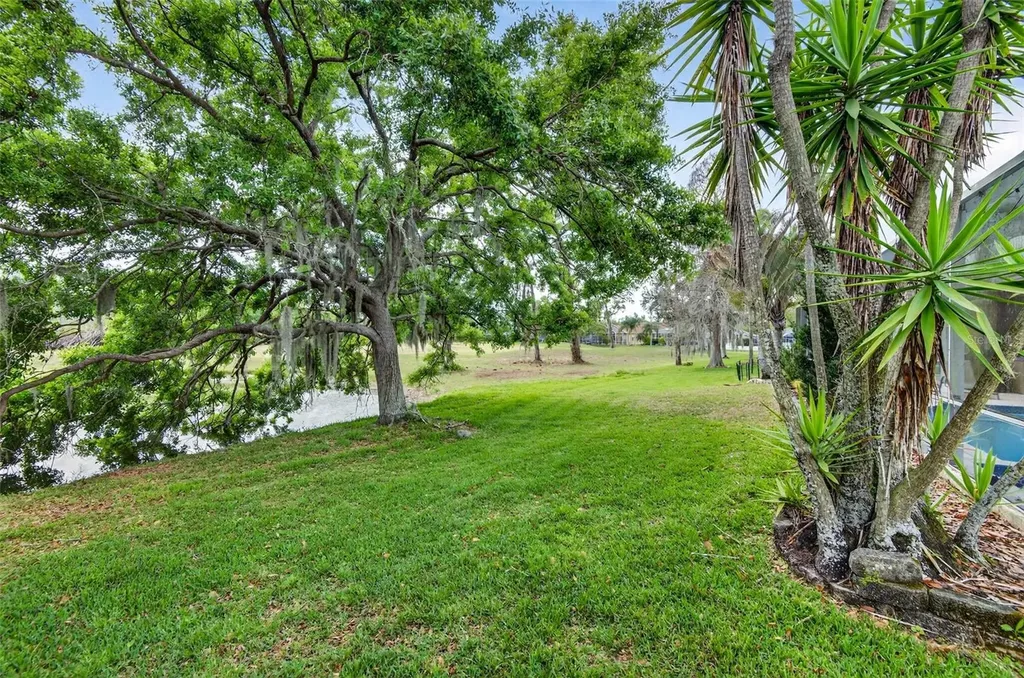 4308 Harborwatch Lane Lutz FL 33558