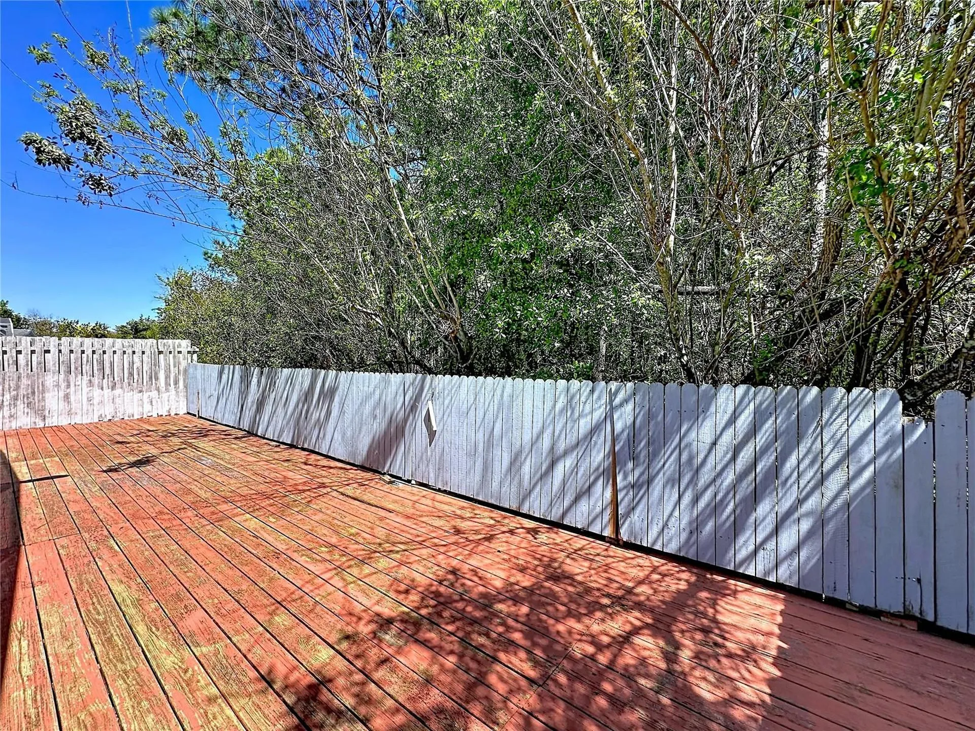 241 Coralwood Court Kissimmee FL 34743