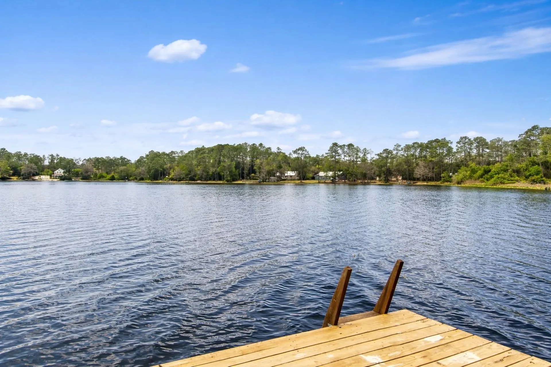 299 Riley Lake Drive Hawthorne FL 32640
