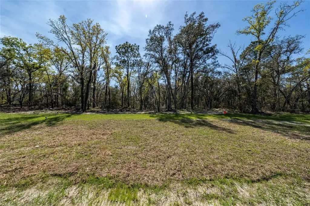 762 Marion Oaks Manor Ocala FL 34473