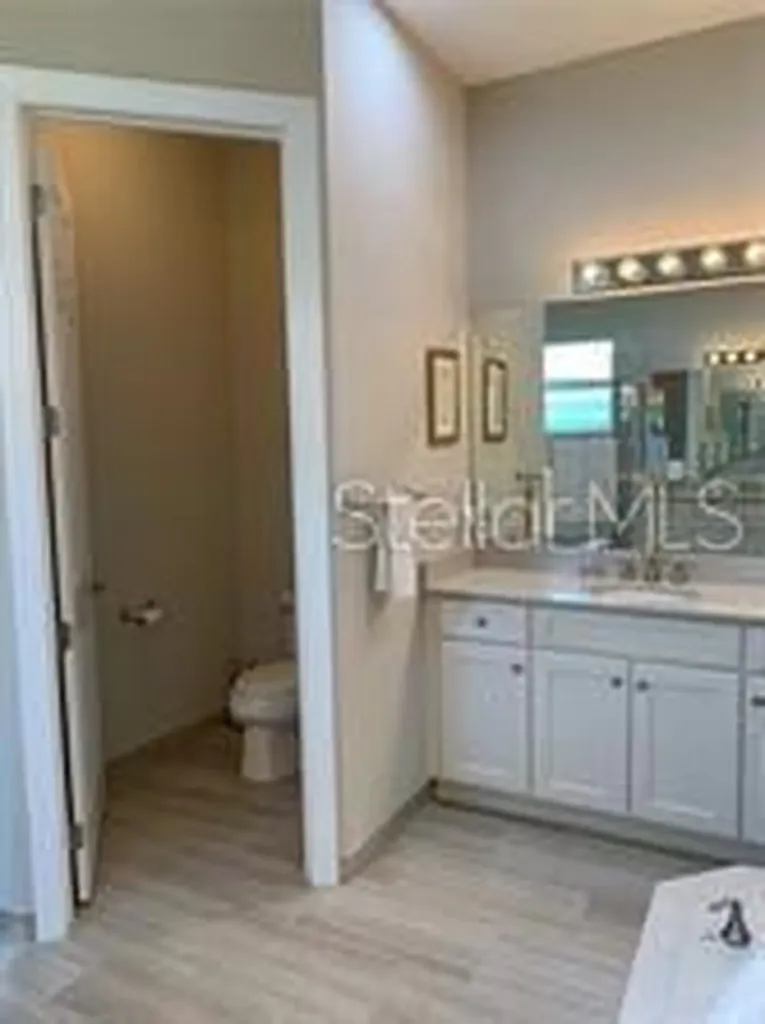 16015 Cape Coral Drive Wimauma FL 33598