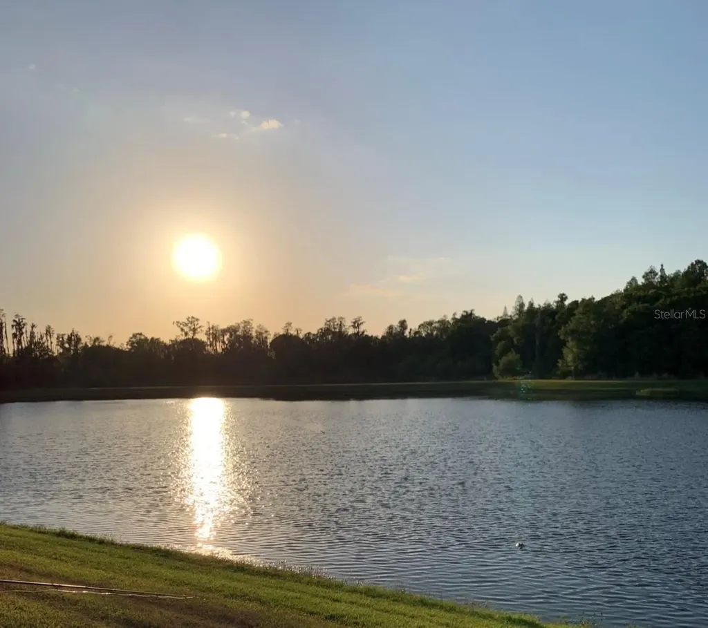 16015 Cape Coral Drive Wimauma FL 33598