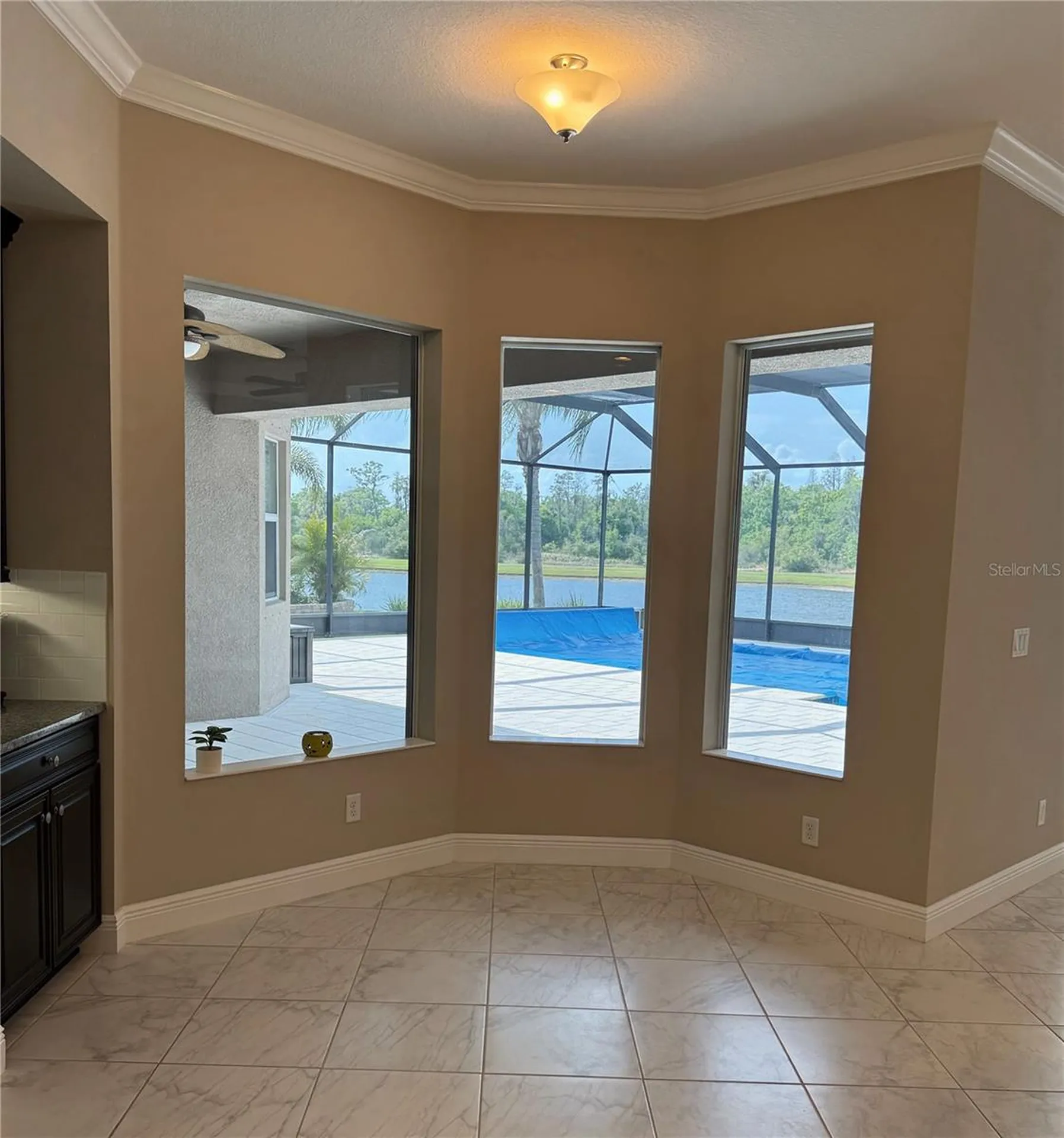16015 Cape Coral Drive Wimauma FL 33598