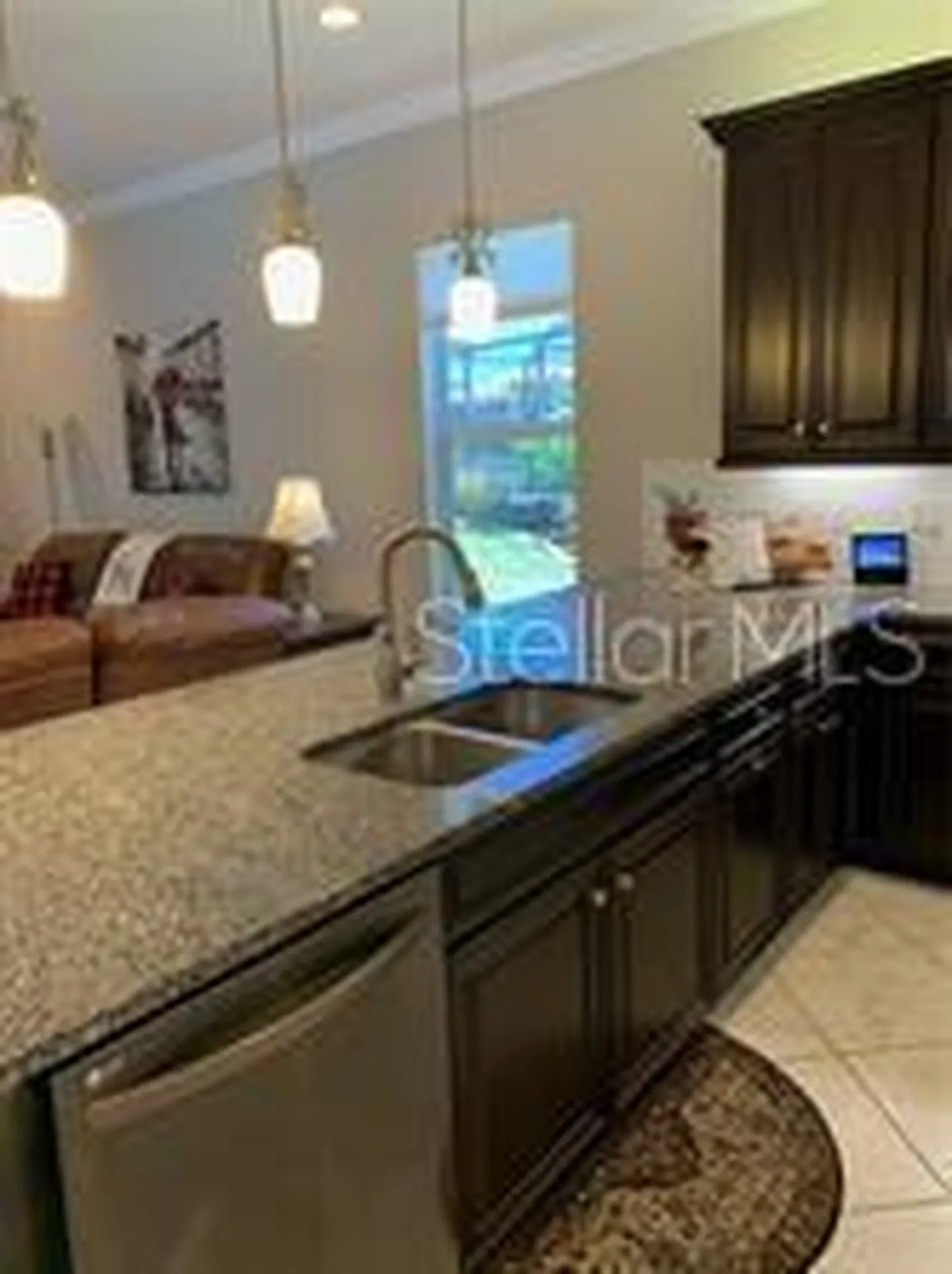 16015 Cape Coral Drive Wimauma FL 33598