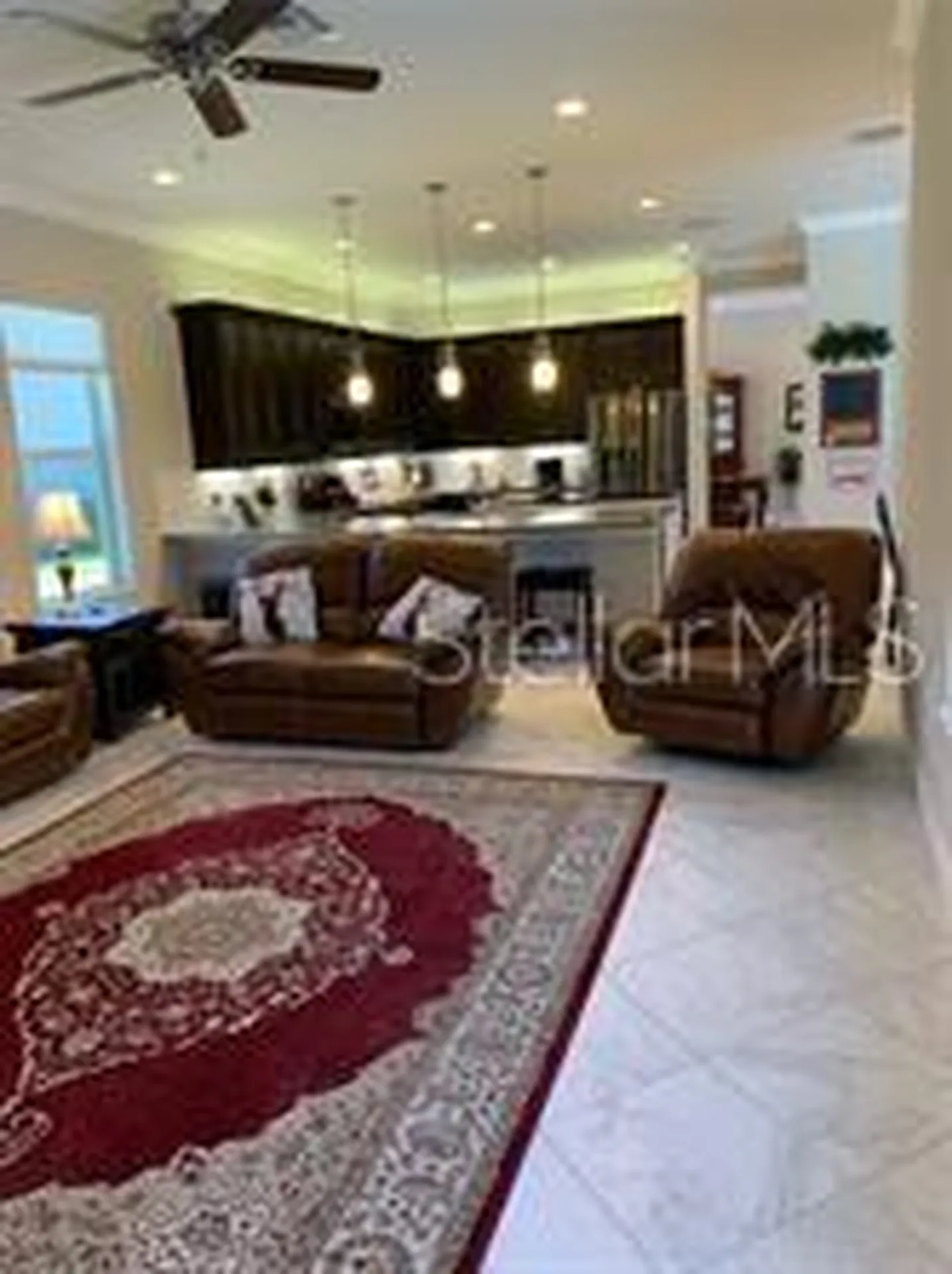 16015 Cape Coral Drive Wimauma FL 33598