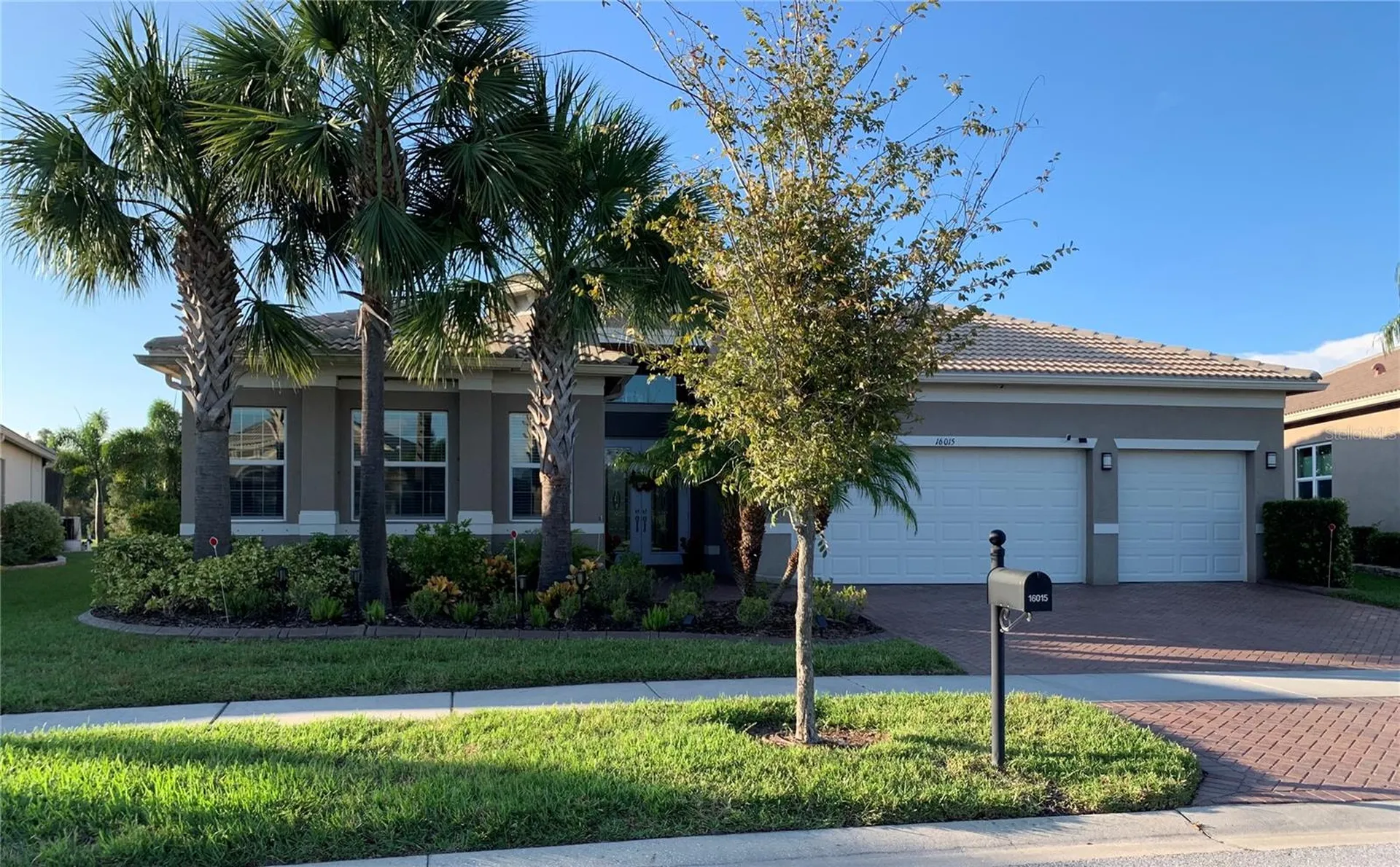 16015 Cape Coral Drive Wimauma FL 33598