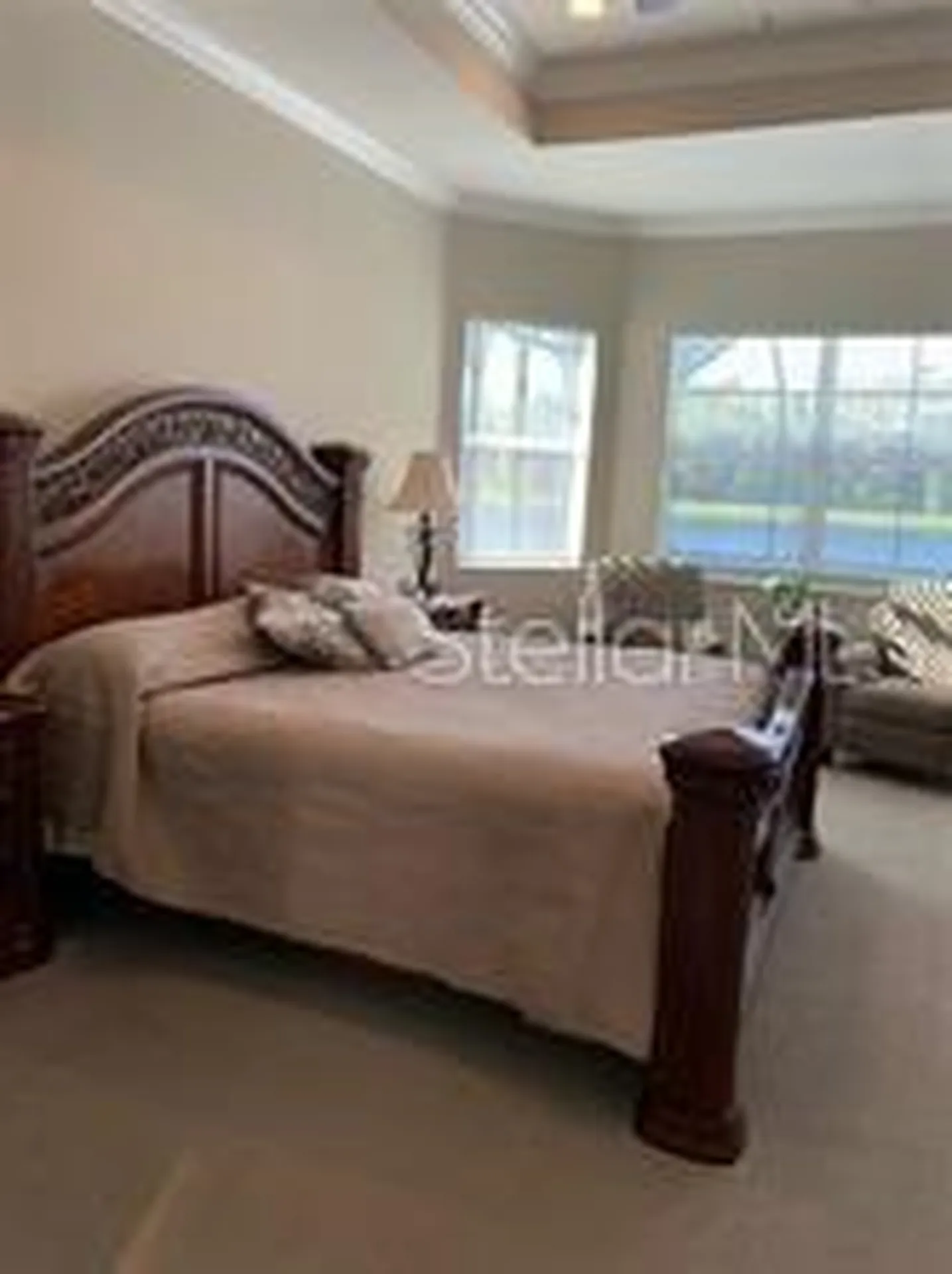 16015 Cape Coral Drive Wimauma FL 33598