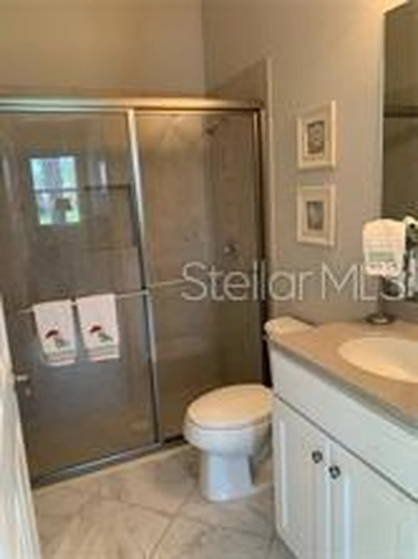 16015 Cape Coral Drive Wimauma FL 33598