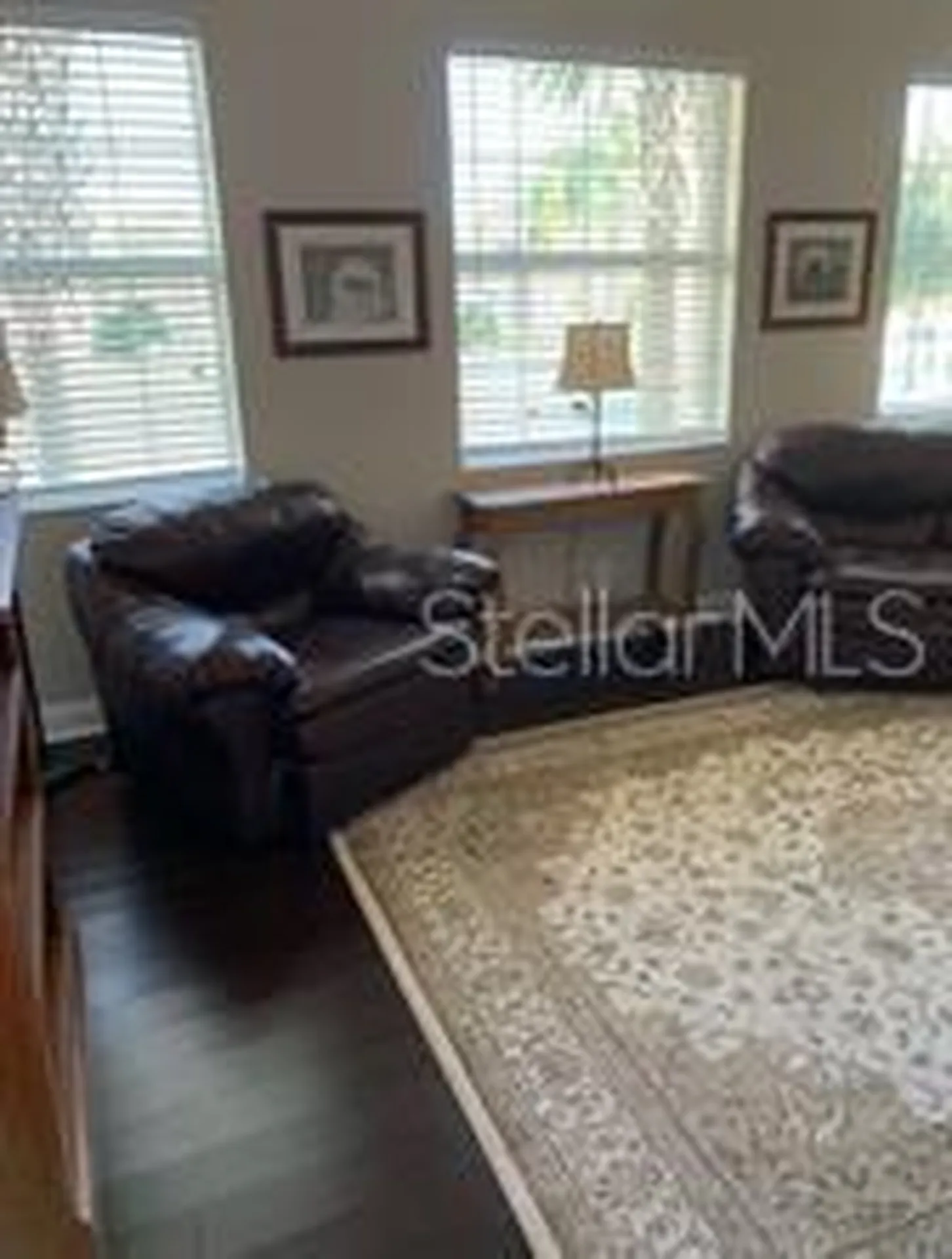 16015 Cape Coral Drive Wimauma FL 33598
