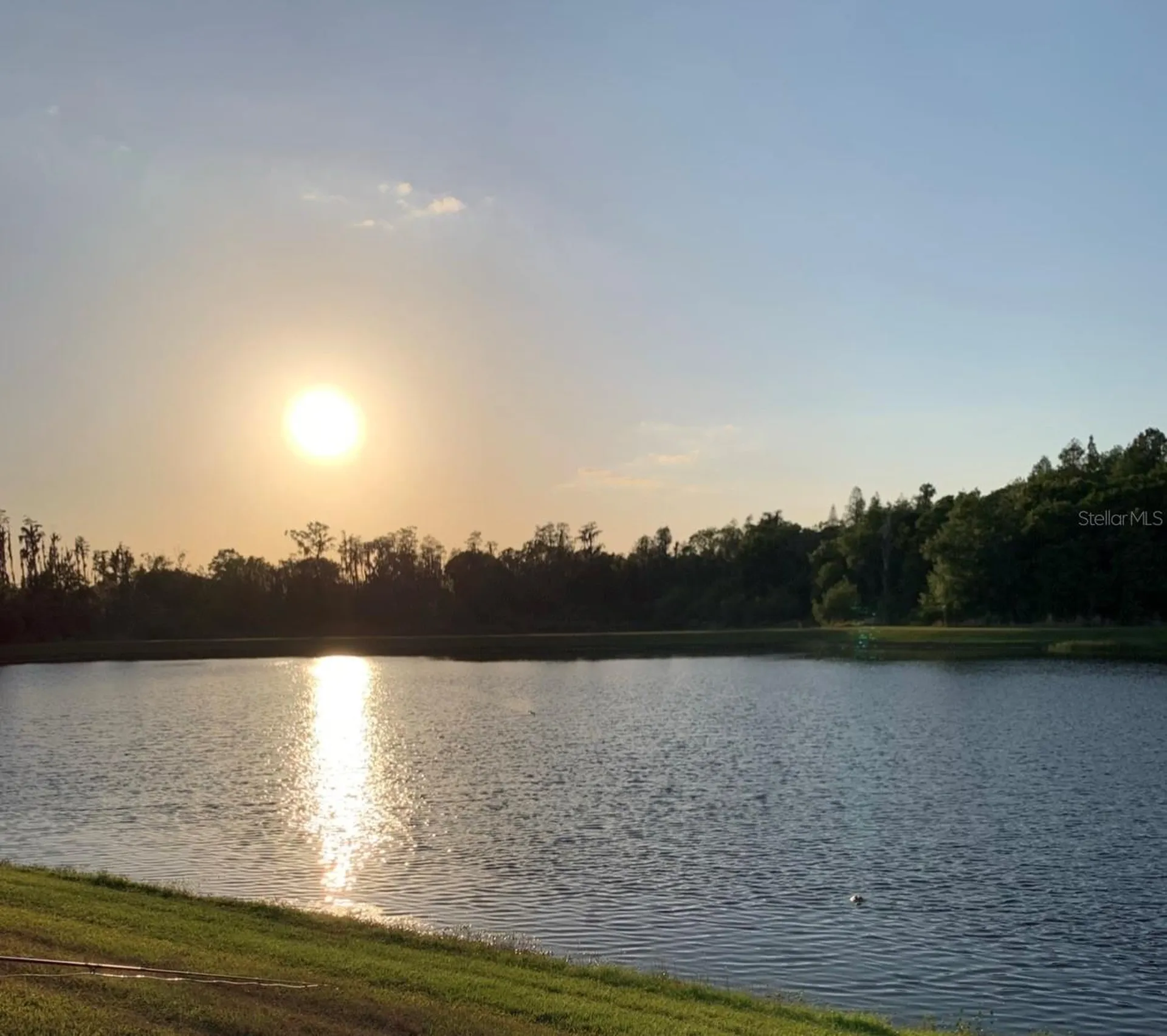 16015 Cape Coral Drive Wimauma FL 33598