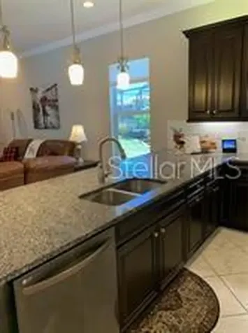 16015 Cape Coral Drive Wimauma FL 33598