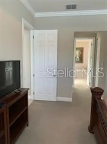 16015 Cape Coral Drive Wimauma FL 33598
