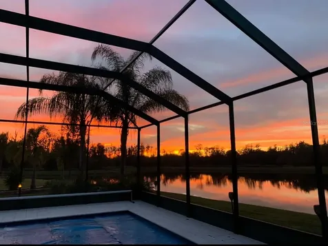 16015 Cape Coral Drive Wimauma FL 33598