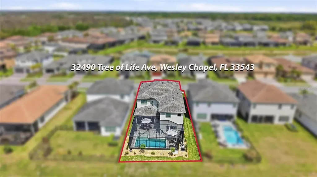 32490 Tree Of Life Avenue Wesley Chapel FL 33543