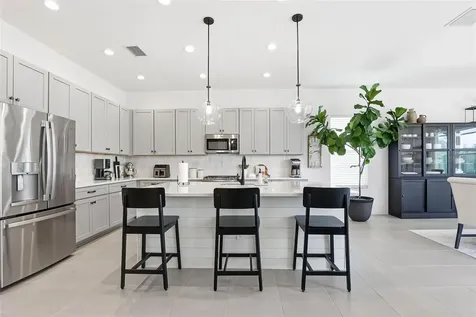 32490 Tree Of Life Avenue Wesley Chapel FL 33543
