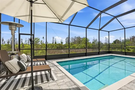 32490 Tree Of Life Avenue Wesley Chapel FL 33543