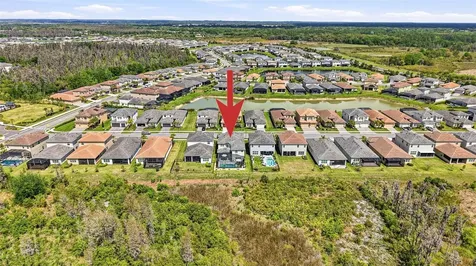 32490 Tree Of Life Avenue Wesley Chapel FL 33543