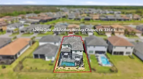 32490 Tree Of Life Avenue Wesley Chapel FL 33543