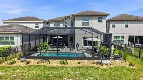 32490 Tree Of Life Avenue Wesley Chapel FL 33543