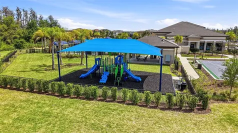 32490 Tree Of Life Avenue Wesley Chapel FL 33543