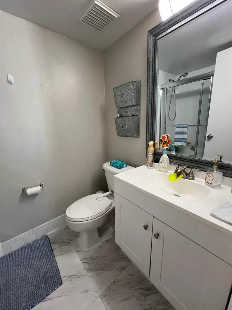 102 Palmetto Court Oldsmar FL 34677