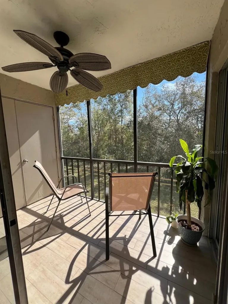102 Palmetto Court Oldsmar FL 34677