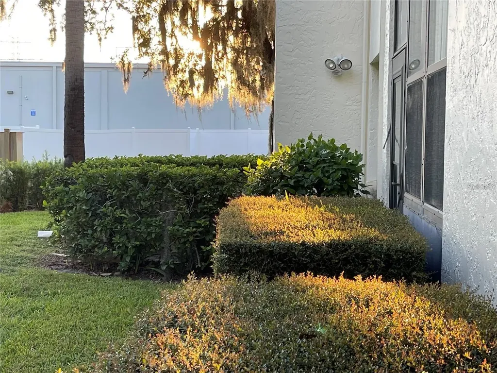 102 Palmetto Court Oldsmar FL 34677