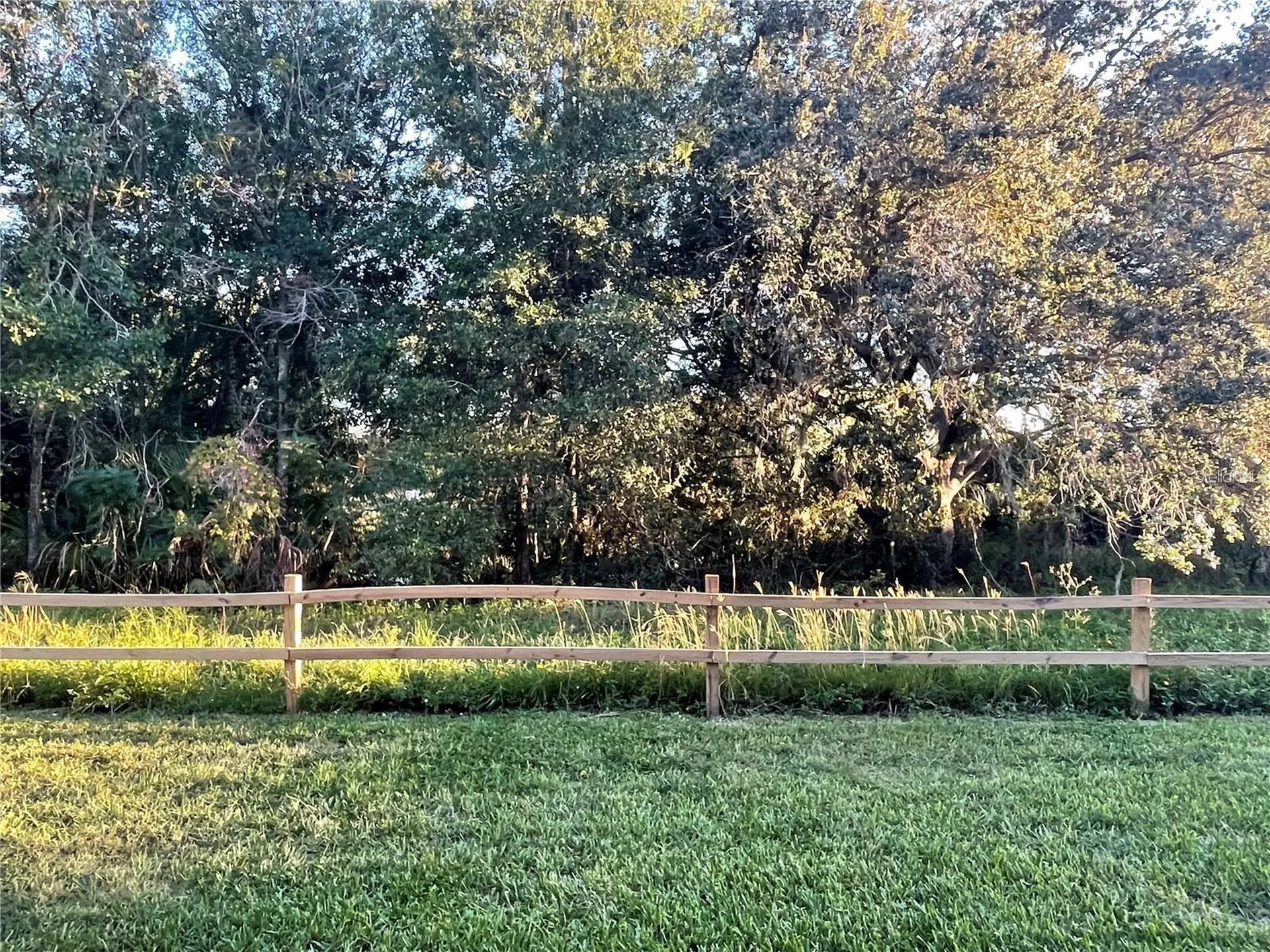 102 Palmetto Court Oldsmar FL 34677