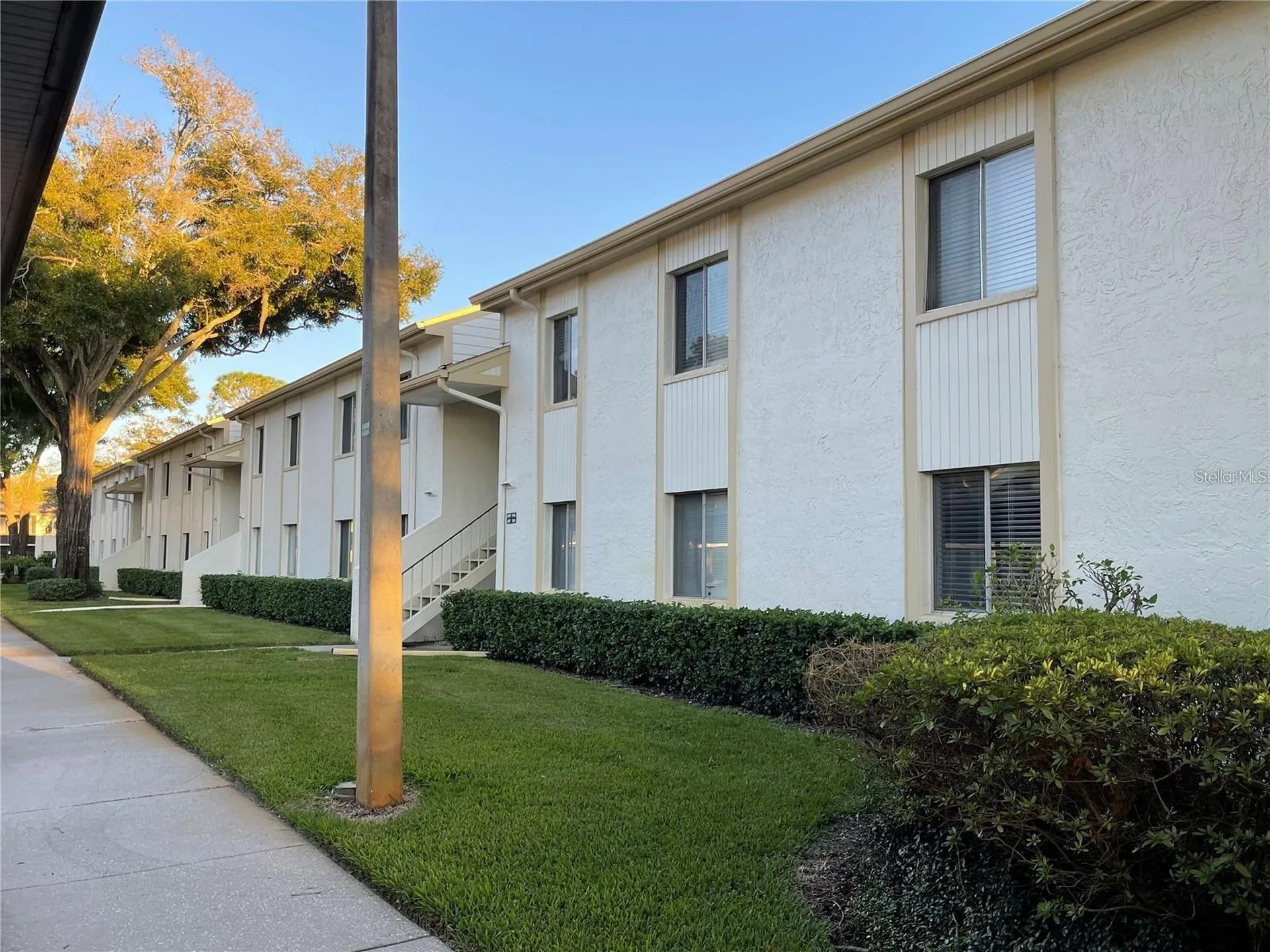 102 Palmetto Court Oldsmar FL 34677