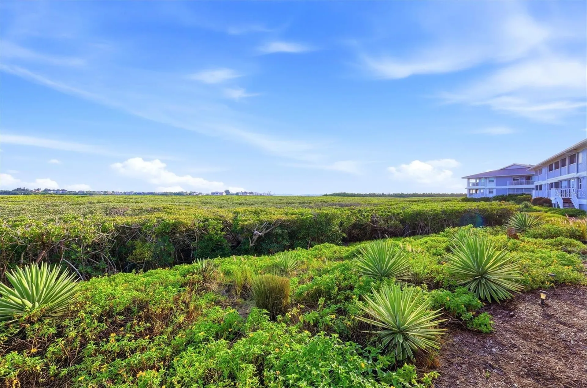 1323 Perico Point Circle Bradenton FL 34209
