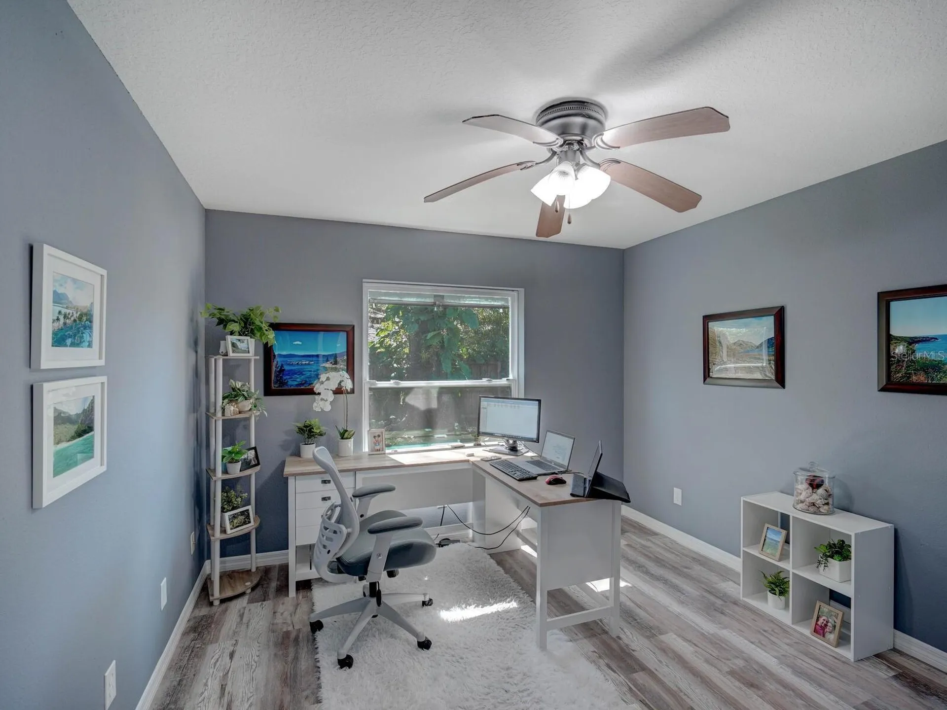 2988 Pinewood Run Palm Harbor FL 34684
