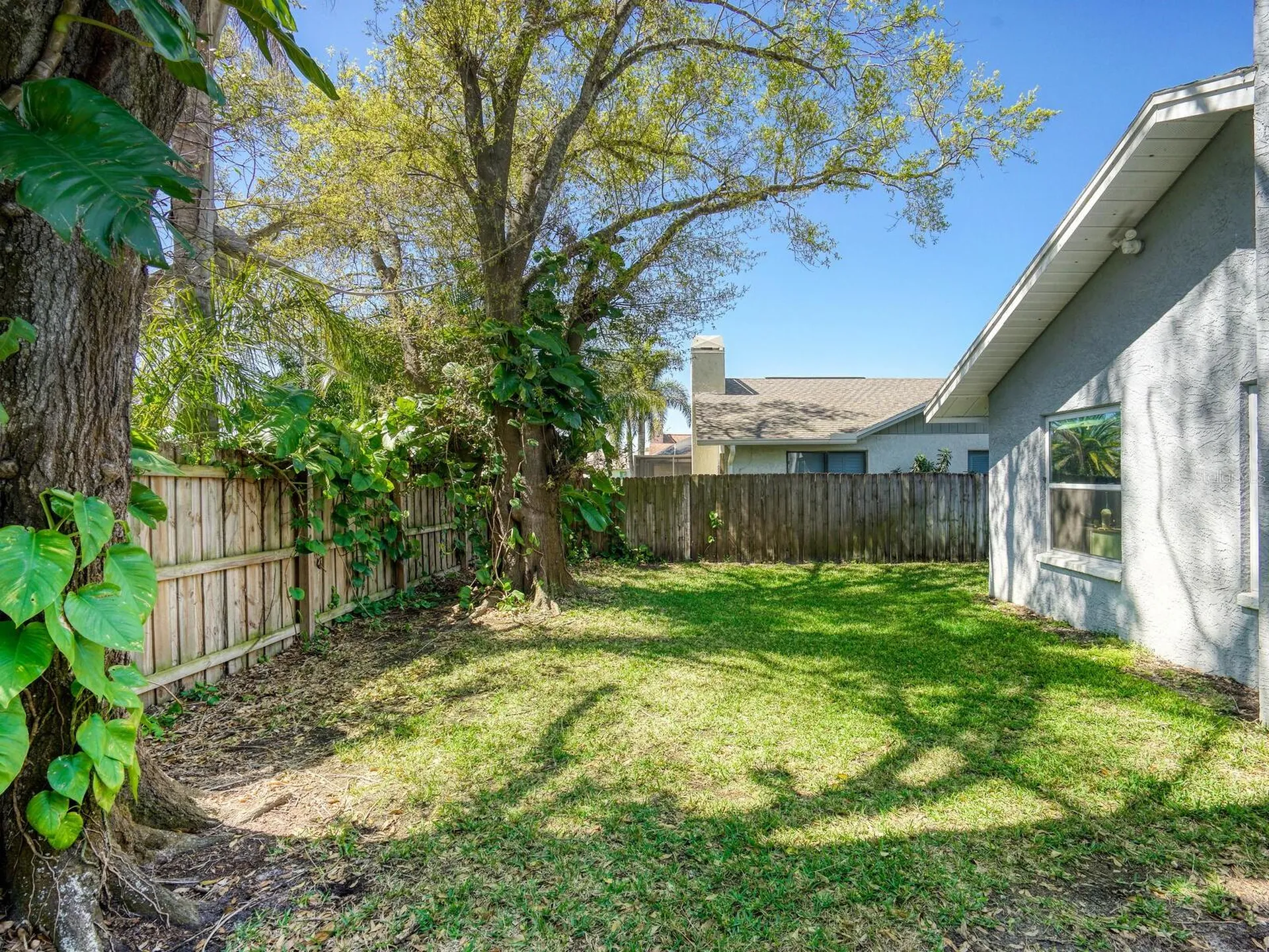 2988 Pinewood Run Palm Harbor FL 34684