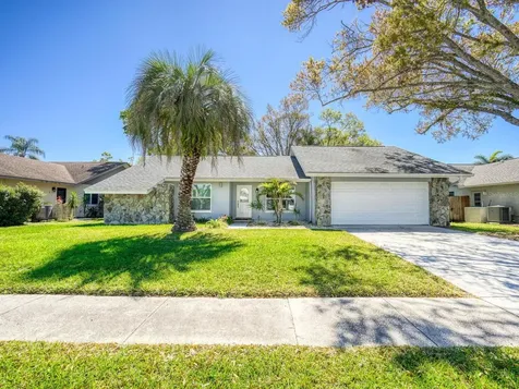 2988 Pinewood Run Palm Harbor FL 34684