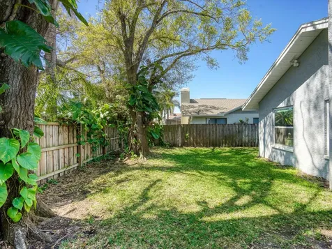 2988 Pinewood Run Palm Harbor FL 34684