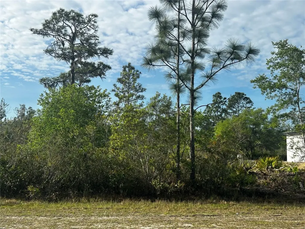 618 Poinciana Drive Indian Lake Estates FL 33855