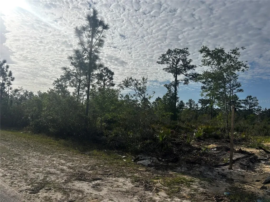 618 Poinciana Drive Indian Lake Estates FL 33855