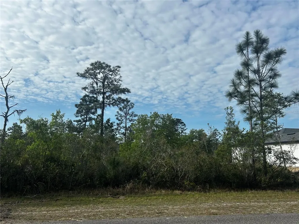 618 Poinciana Drive Indian Lake Estates FL 33855