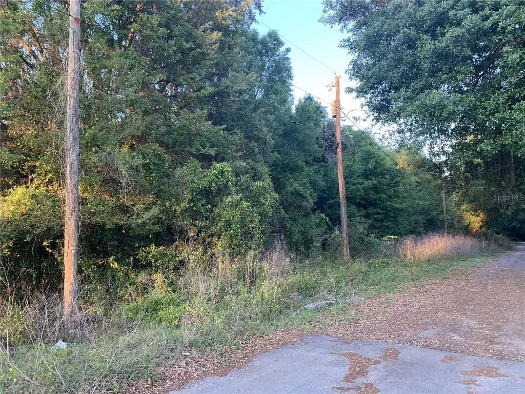 18111 N Us Highway 301 Citra FL 32113