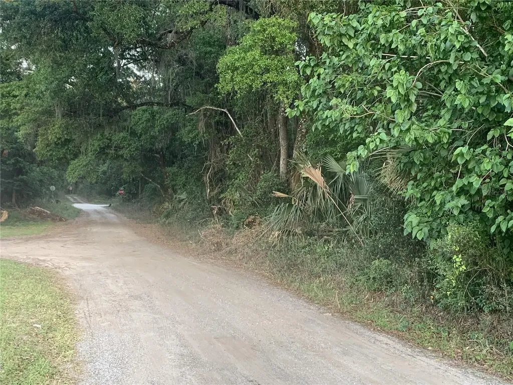 18111 N Us Highway 301 Citra FL 32113