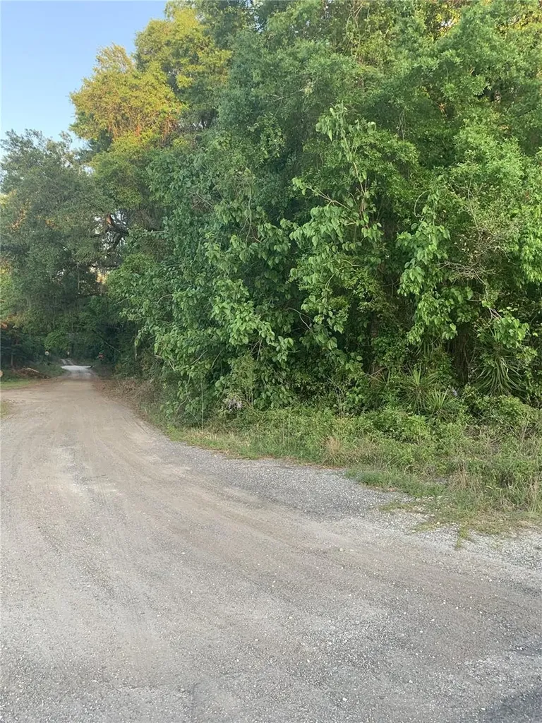 18111 N Us Highway 301 Citra FL 32113