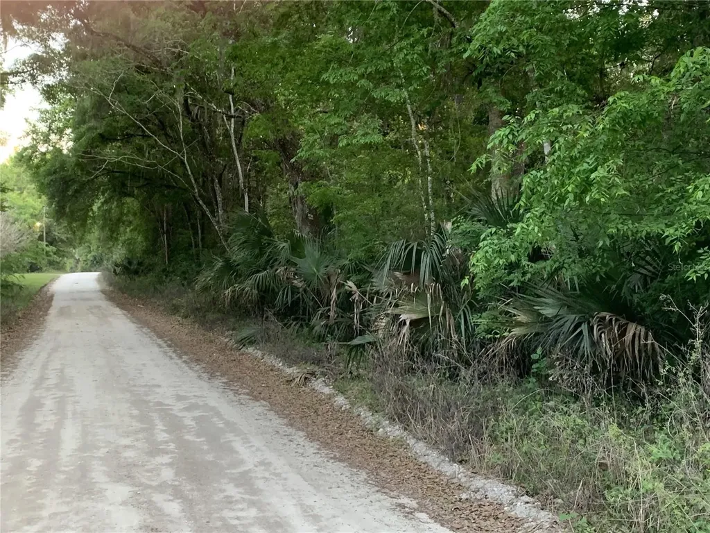 18111 N Us Highway 301 Citra FL 32113