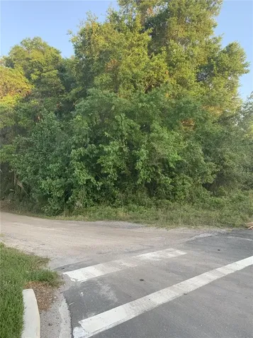18111 N Us Highway 301 Citra FL 32113