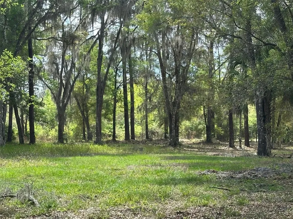 12501 SW Highway 200 Dunnellon FL 34432