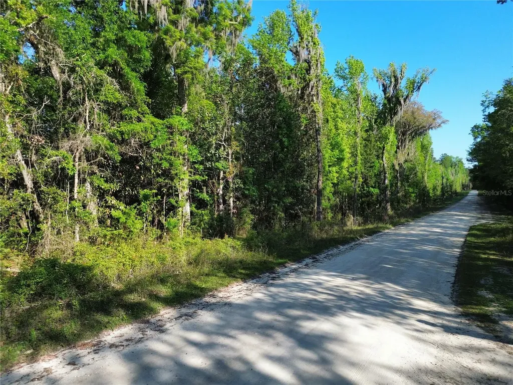 00 NW 144th Avenue Williston FL 32696