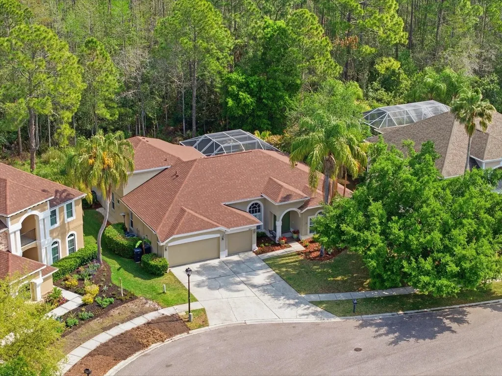 18931 Chaville Road Lutz FL 33558